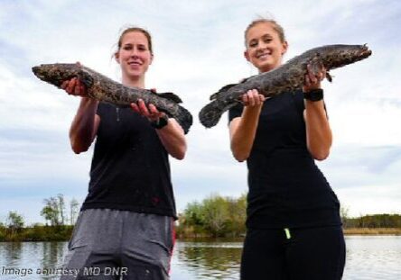 2025 MD DNR-fishing