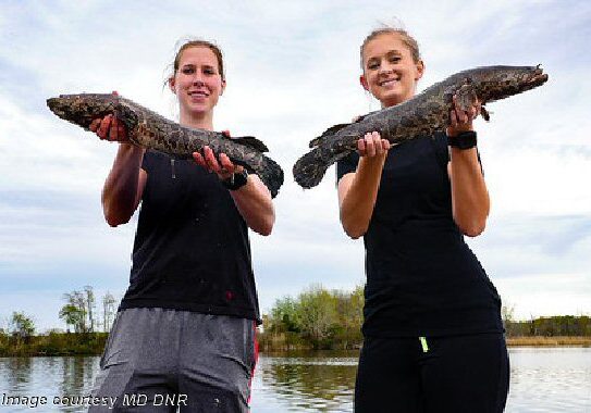 2025 MD DNR-fishing
