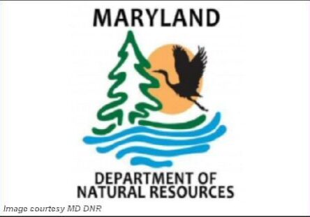 2025 MD DNR-logo