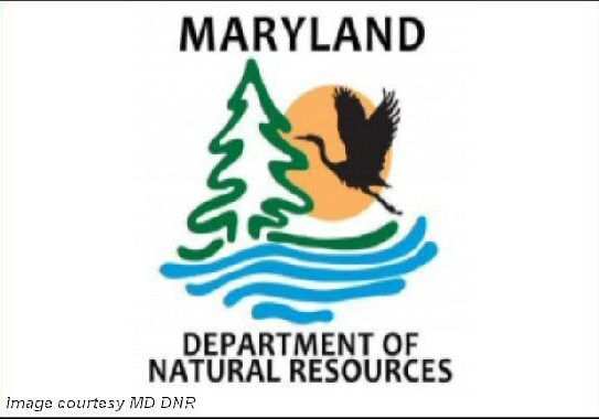 2025 MD DNR-logo