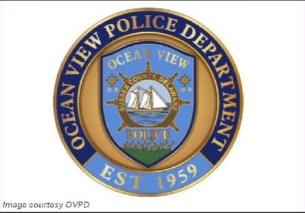 2025 Ocean View PD-pin