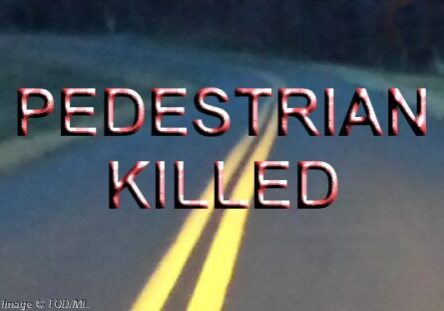 2025 Pedestrian Killed