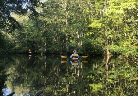 Pocomoke River State Park / image courtesy MD DNR
