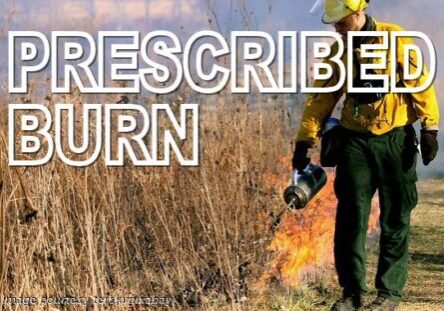 2025 Prescribed Burn