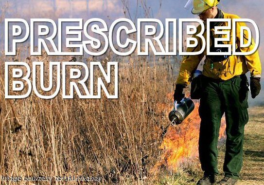 2025 Prescribed Burn