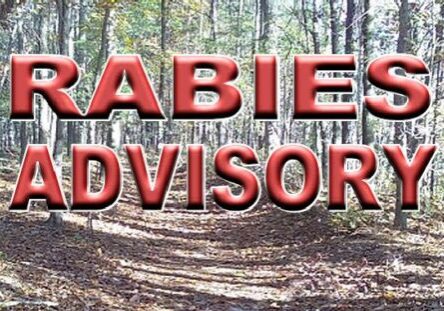 2025 Rabies Advisory-Generic