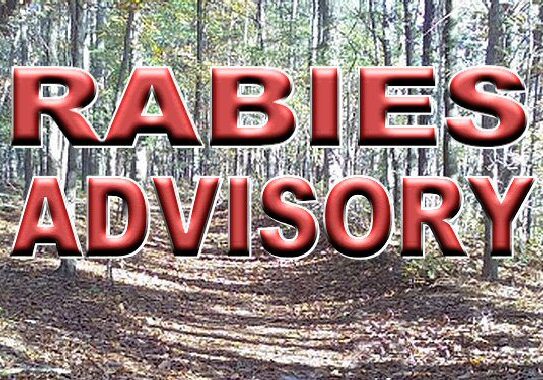 2025 Rabies Advisory-Generic