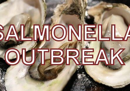 2025 RawOysters-SalmonellaOutbreak