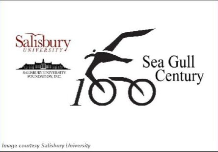 2025 Sea Gull Century-Logo