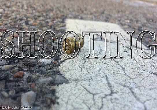 2025 Shooting-CasingOnRd