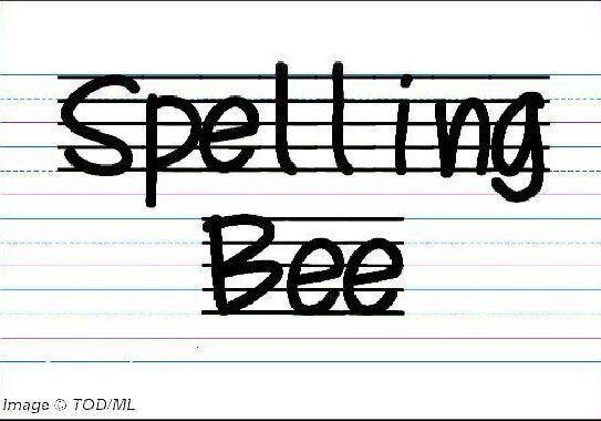 2025 SpellingBee