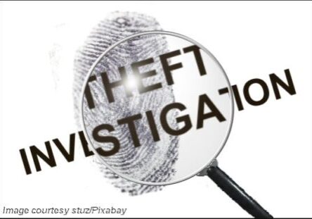 2025 Theft Investigation piint-lens