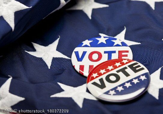 2025 VOTE - Flag-buttons