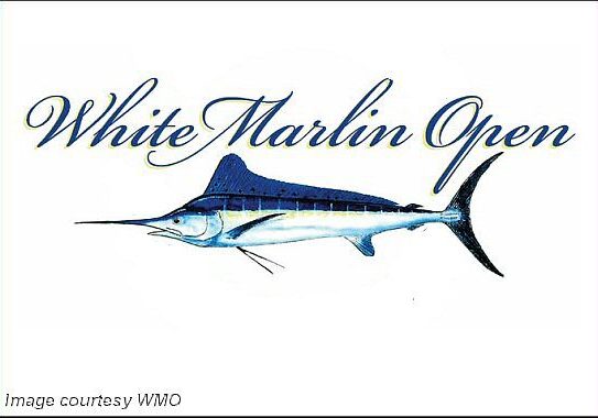 2025 WMO Logo-generic