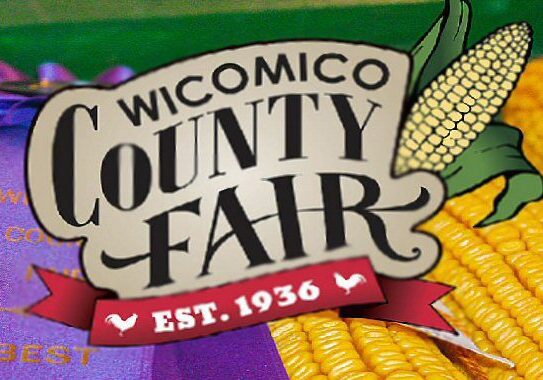 2025 WicomicoCountyFair-Corn-Logo