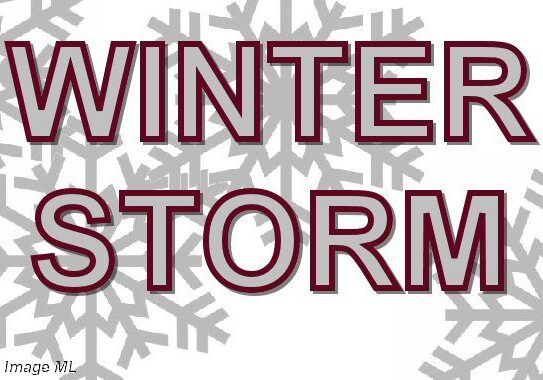 2025 Winter Storm-flakes