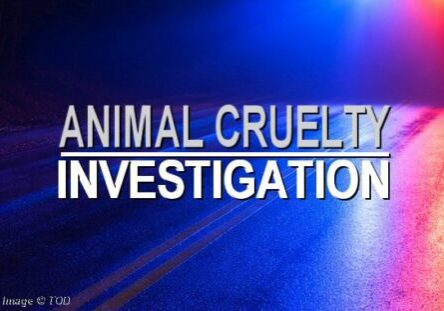 2026 ANIMAL CRUELTY INVESTIGATION - TOD