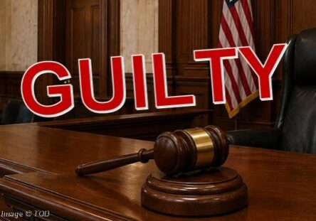 2026 Guilty-gavel TOD