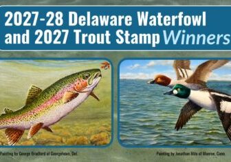2027-28 Waterfowl-Trout Stamp Winners