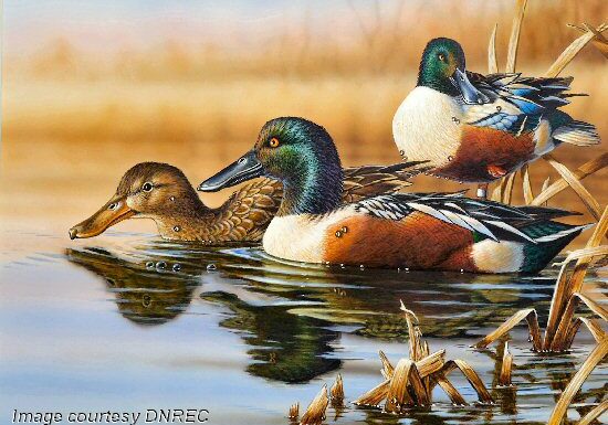 2027 Waterfowl Stamp-GerryPutt-PA