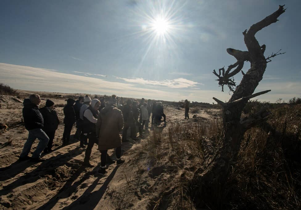 53436455023_7329c869ce_b