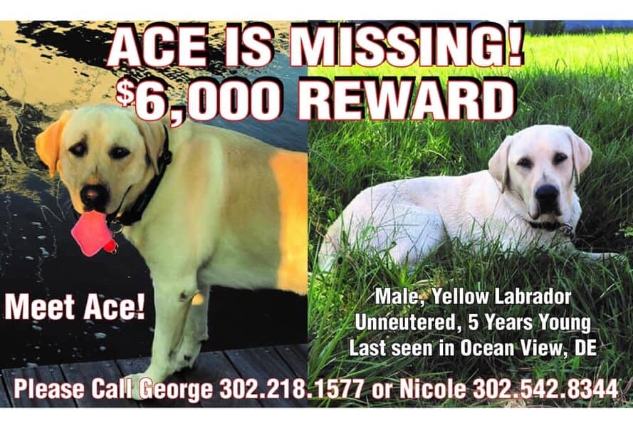 71724486_524989738324008_8922343637413527552_n