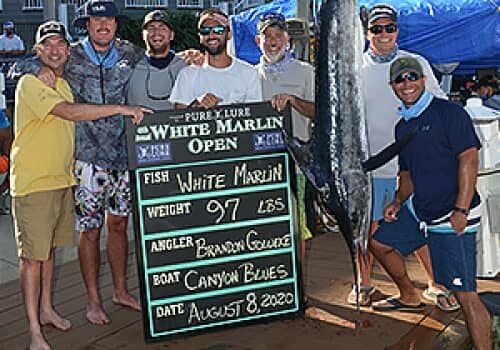 white marlin open 2020