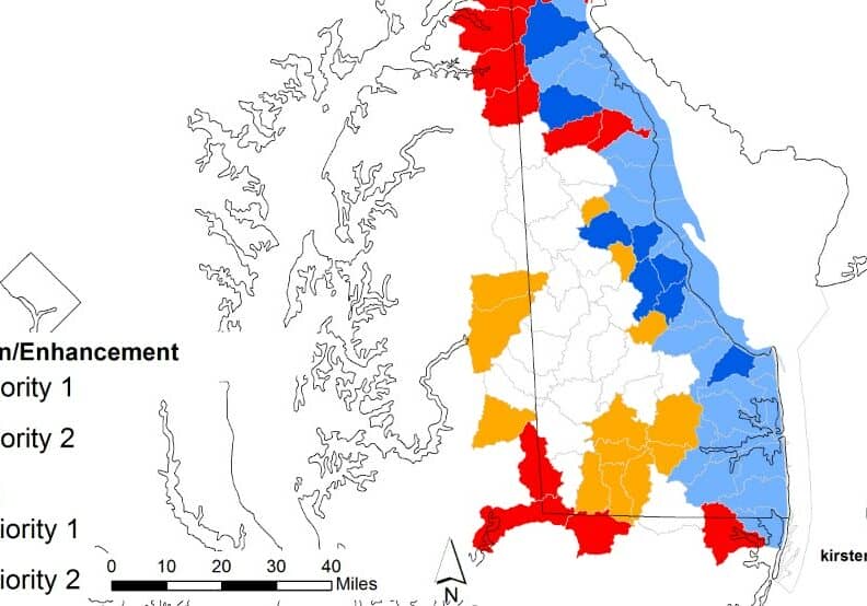 American Black Duck habitat