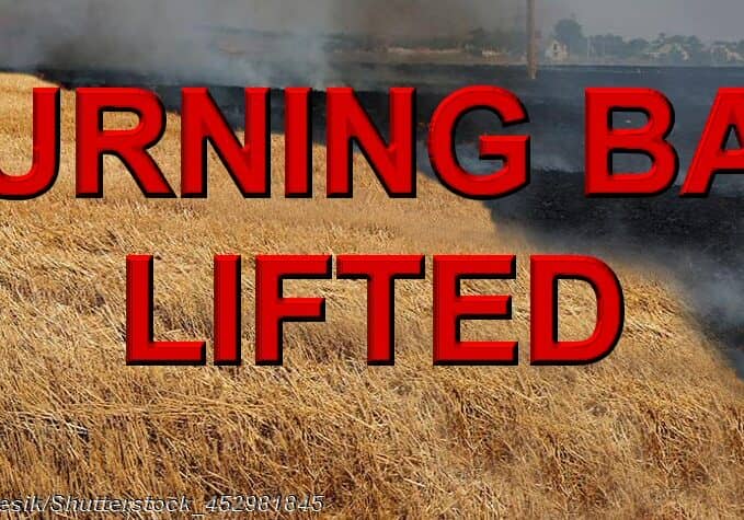 Brush fire  
Image © A_Lesik/Shutterstock_452981845