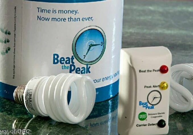 Delaware Electric Cooperative