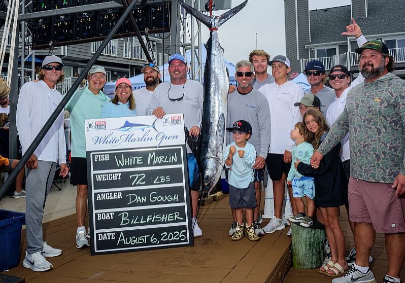 Image courtesy White Marlin Open and Unscene Productions