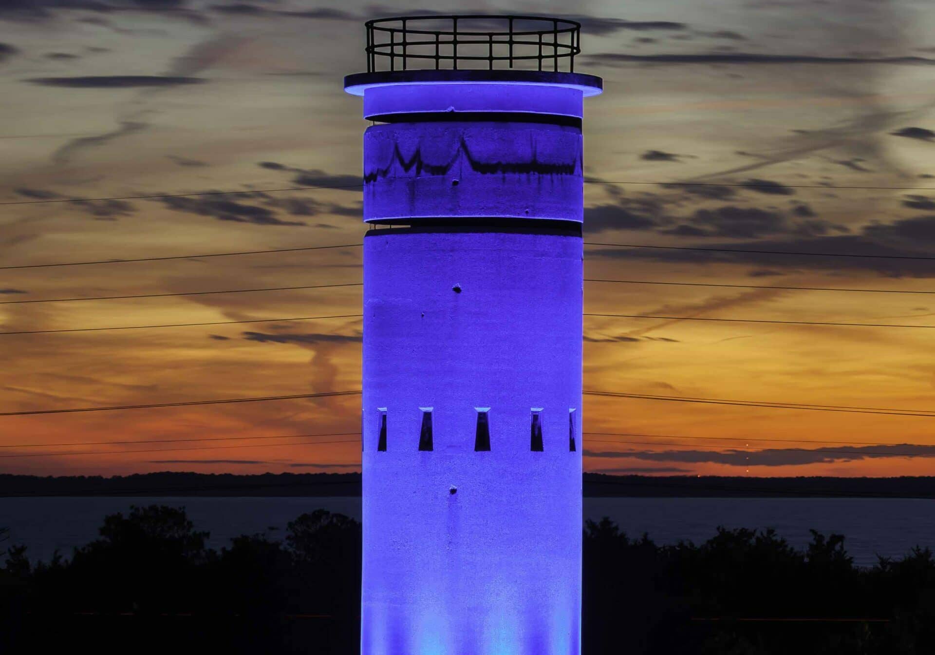 image courtesy of Delaware Seashore Preservation Foundation