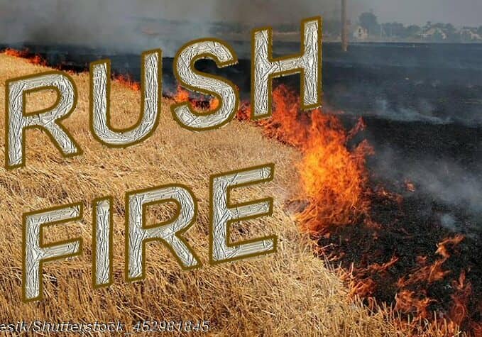 Brush Fire 01-Image © Copyright A_Lesik/Shutterstock_452981845