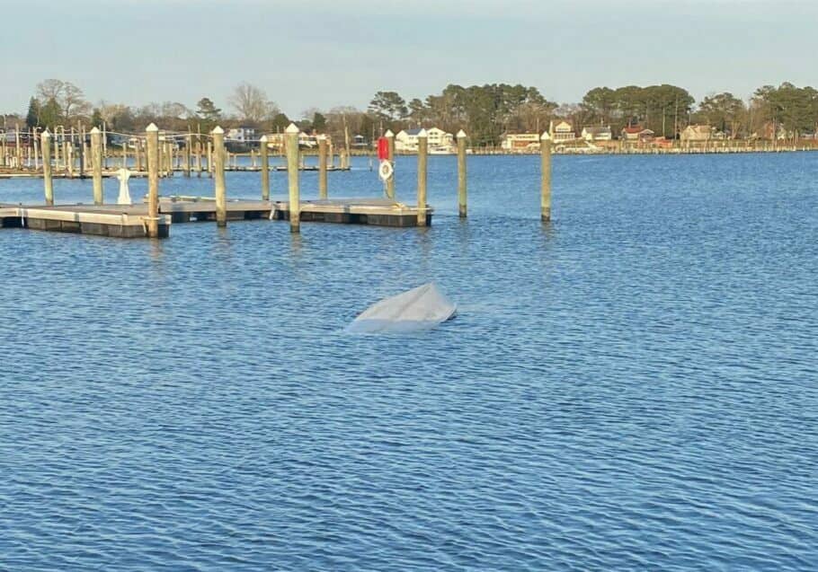 Photo courtesy of Indian River Vol. Fire Co.