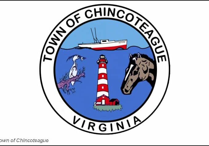 Chincoteague-seal