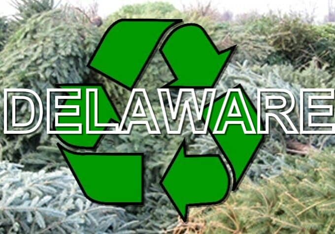 ChristmasTreeRecycle-Delaware