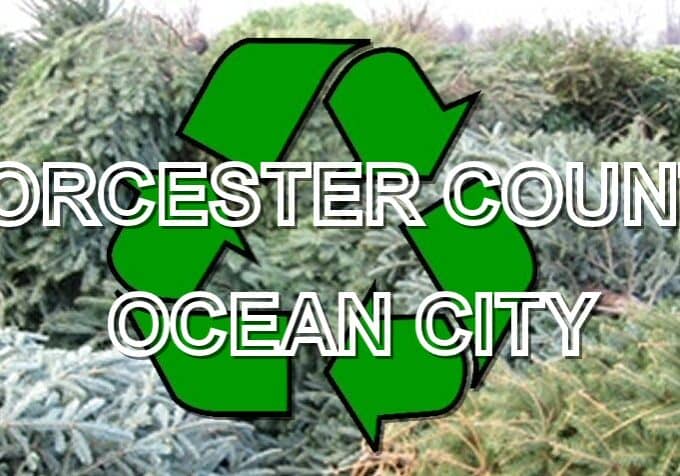 ChristmasTreeRecycle-WorcCounty-OC