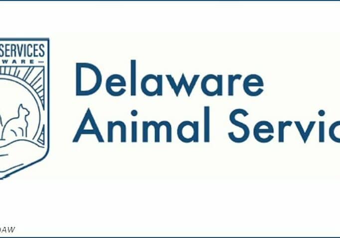 DE Animal Services
