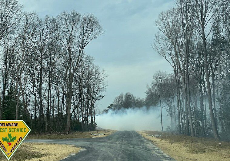 Image courtesy DE Department of Agriculture