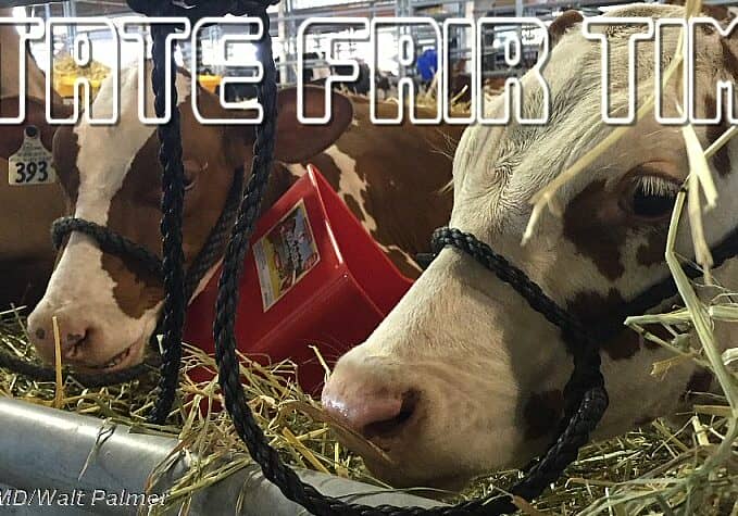 Image © WGMD/Walt Palmer