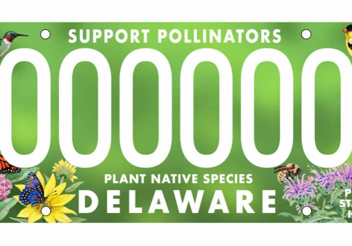 DMV Support Pollinators Plate (photo courtesy of DelDOT)