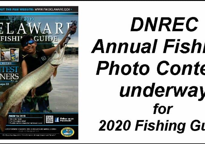 Image courtesy DNREC