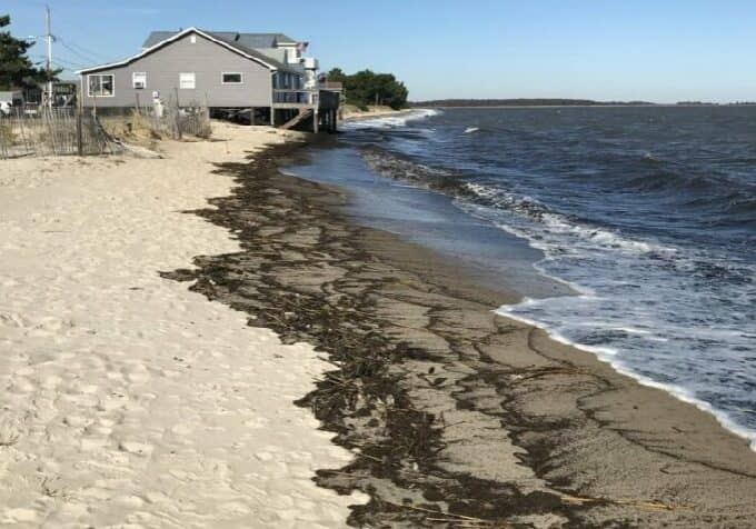 Picture courtesy DNREC
Bowers Beach-prenourishment