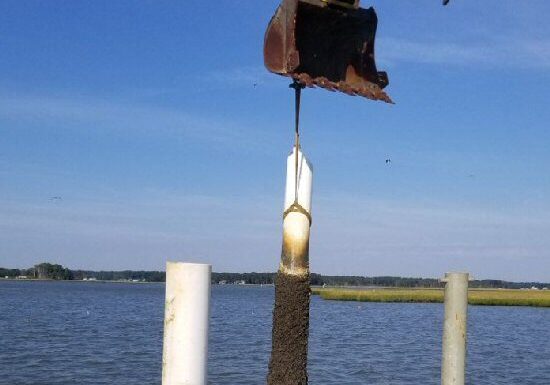 Image courtesy DNREC