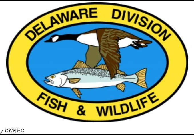 DNREC-FishWildlife-Logo
