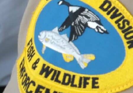 DNREC-FishWildlife-Patch