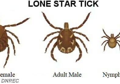 Image courtesy DNREC