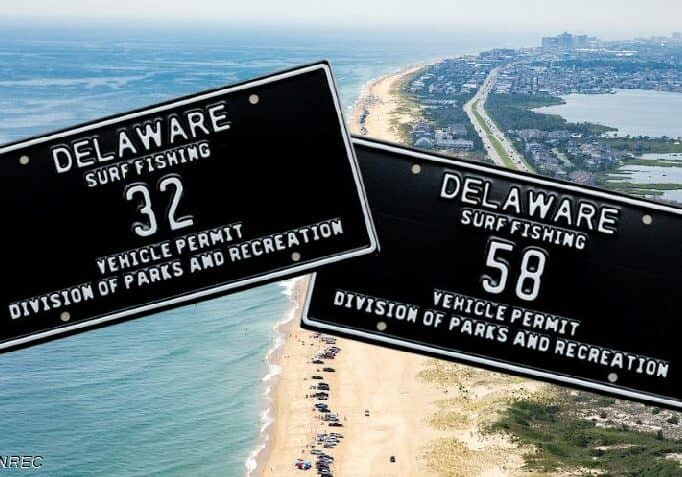 DNREC-SurfFish Tag Auction