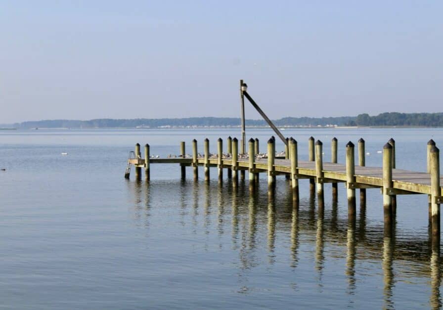 A 21-day emergency shellfish harvest closure at Rehoboth Bay has been lifted (photo courtesy of Delaware Department of Natural Resources)