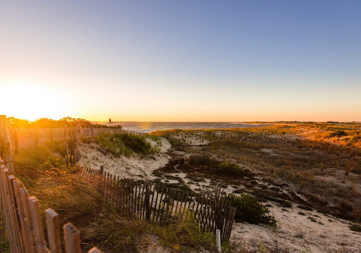 DNREC-to-Close-The-Point-at-Cape-Henlopen-for-Beachnesting-Season_2025-2048x1367-1-1536x1025